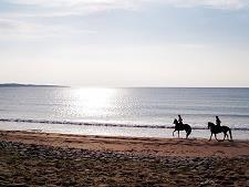 L'Equitation sur les plages